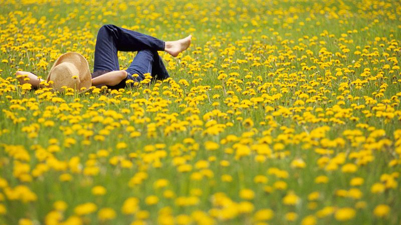 Cuándo empieza la primavera astronómica 2025: qué tiempo se espera para esta época del año